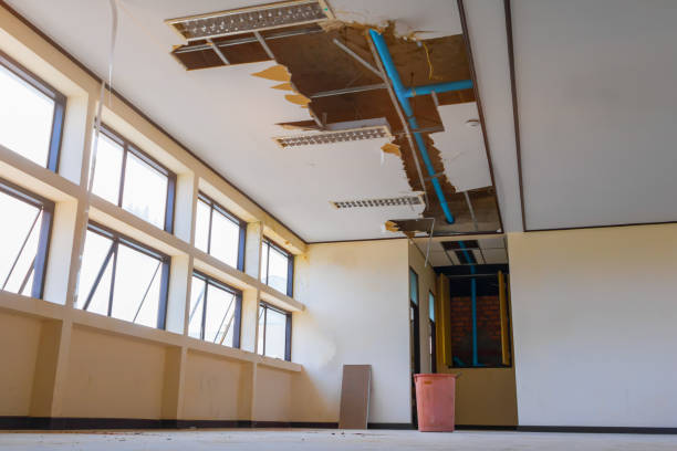 Best Water damage restoration near me  in Bruce, MS