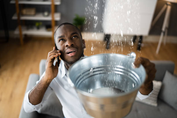 Best Water damage cleanup near me  in Bruce, MS