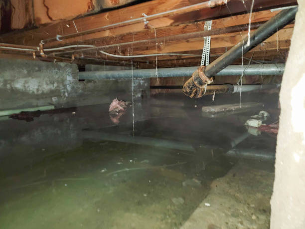 Best Water damage restoration experts  in Bruce, MS
