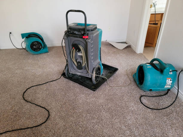 Best Flood damage cleanup  in Bruce, MS