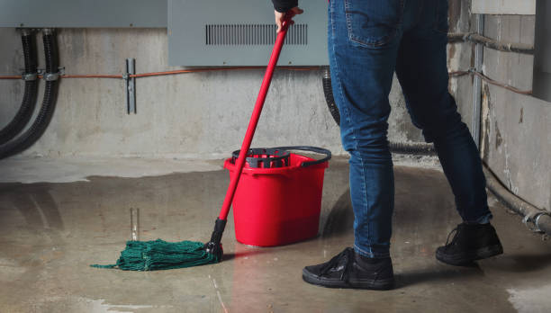 Best Water damage restoration services  in Bruce, MS
