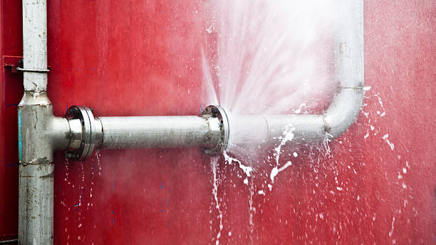 Best Local water damage restoration  in Bruce, MS