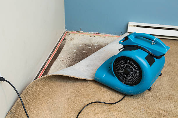 Best Residential water damage restoration  in Bruce, MS